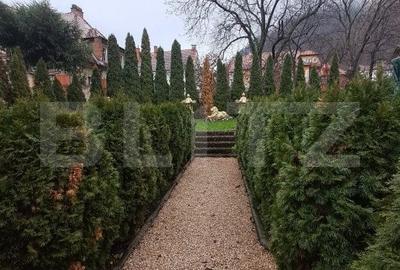 Apartament in vila, 4 camere, 300 mp, D+E+M, zona ultracentrala - 1