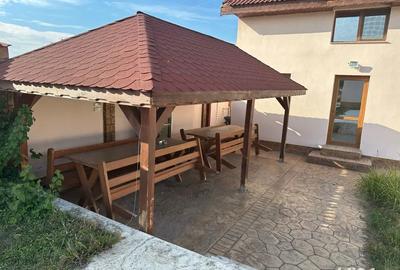 2 Case Vacanta sat Vrancea la Dunare - 8