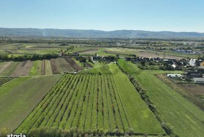 Spațiu comercial, în Aușeu - 5