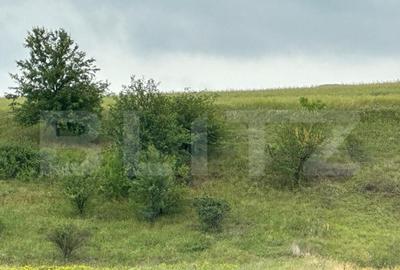 Teren intravilan pentru investit 5200 mp - 1