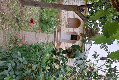 Casă cu 5 camere cu Teren 4000 Mp în Smârdan - 1