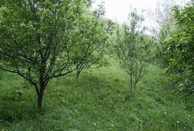 Spațiu comercial, în Runcu - 1