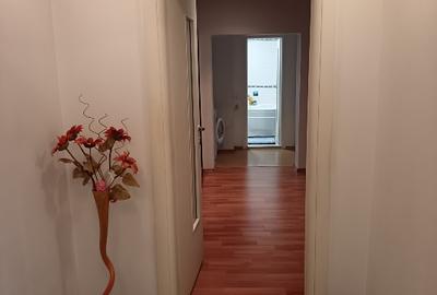Apartament cu 2 camere semidecomandat în Craiovei - 4