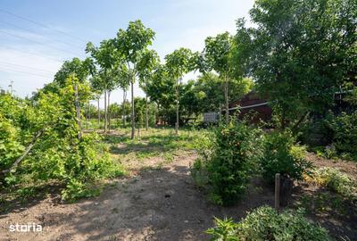 Casă cu 3 camere cu Teren 1450 Mp în Central - 4