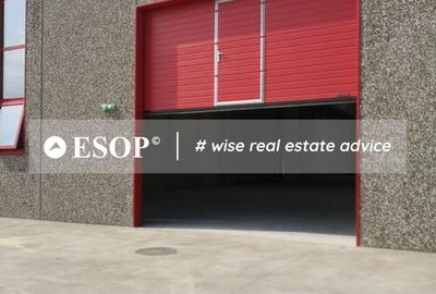 Hale industriale, parc modern, Rudeni, Chitila, Ilfov- ID 15462 Hale industriale, parc modern, Rudeni, Chitila, Ilfov- ID 15462 - 14