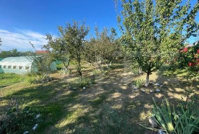 Casa 6 camere, 229 mp, scara exterioara, zona Dorobanti - 4