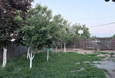 Casă cu 5 camere cu Teren 720 Mp în Cruceni - 1