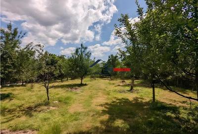 Vila Impresionanta cu peisaj de poveste Teren 12.000 mp - Candesti, Dambovita - 13