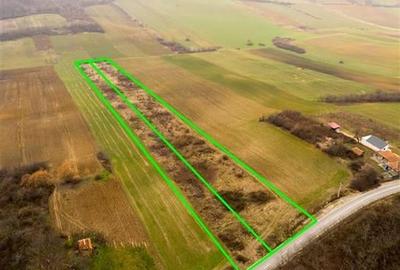 Teren Construcții intravilan de 13041 mp, în Burzuc