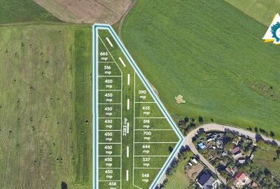 Teren de 11500 mp pentru Complex Reziden?ial in Sannicolau Mic - 1