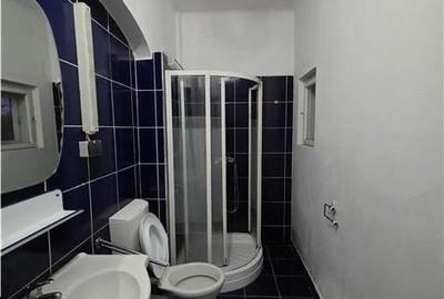 Casa zona Parcul Sub Arini din Sibiu - 12