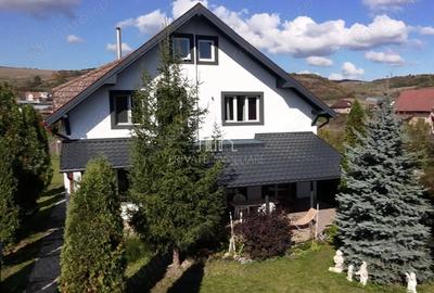 Casa de Vanzare, 800Mp teren, Santana De Mures - 14