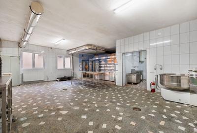 Spațiu industrial, de 380 mp, în Pildești - 7