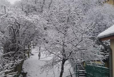 Vila splendida cu 500 mp utili de vanzare in Cluj centru, pe teren de 1645 mp - 5