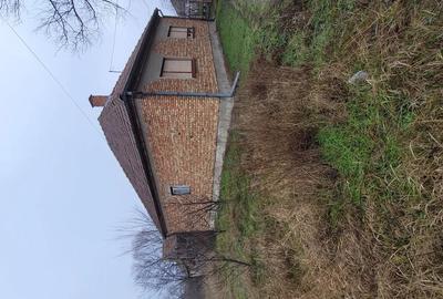 Vand casa in serbia jasa tomic - 6