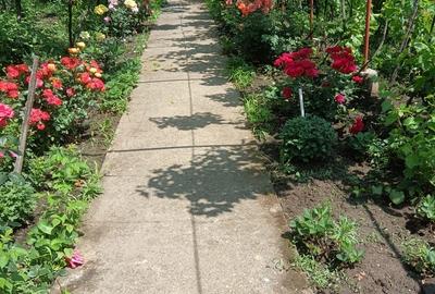 Casă cu 2 camere cu Teren 1440 Mp în Exterior Vest - 6