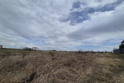 Teren 2500 mp – Izvorani | Deschidere directa la lac - 5