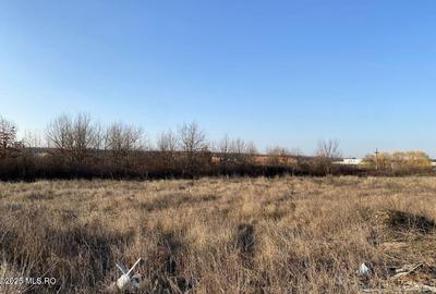 Mogosoaia - La lac - Str. Martha Bibescu, 4.566 mp, deschidere 40 ml! - 18
