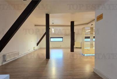 Casa individuala de zona Domenii - 13