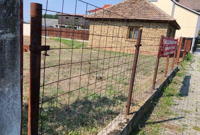 Teren de 7610 mp, în Curtici - 5
