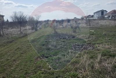 Teren Construcții intravilan de 500 mp, în Balotești - 3