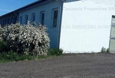 Spațiu comercial, de 750 mp, în Manoleasa - 2