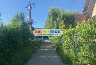 Teren Construcții intravilan de 1193 mp, în Păulești - 11