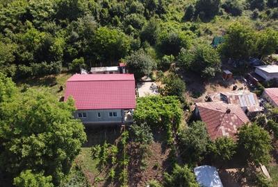 Casa cu aer de refugiu, langa Gradina Botanica - 3