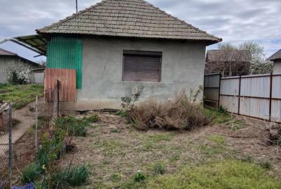 Casă cu Teren 2600 Mp în Buduslău - 4