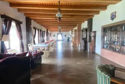 Casă cu 7 camere cu Teren 3000 Mp în Central - 11