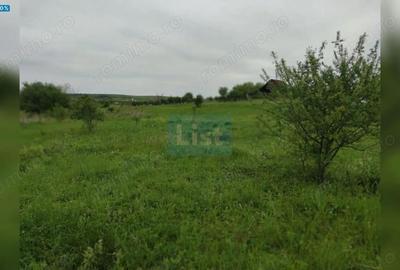 Teren de 800 mp, în Sopor