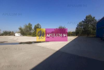 Spațiu industrial, de 4,850 mp, în 1 Decembrie - 21