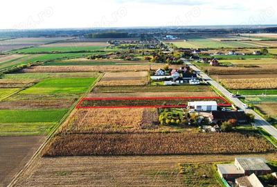Teren intravilan de vanzare 3000 mp, Botiz, str. Sirul Mare, la doar 7 km de centrul Satu Mare - 4