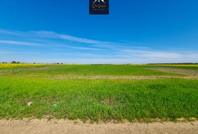 Teren agricol extravilan de 15170 mp, în Domnești - 8
