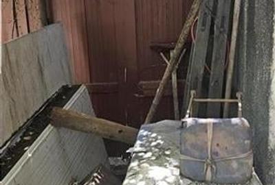 Vanzare Casa individuala + Teren Gara de Nord - 10