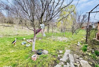 Casă cu 2 camere cu Teren 747 Mp în Roșia - 10