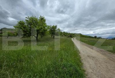 Teren de 900 mp, în Unirea