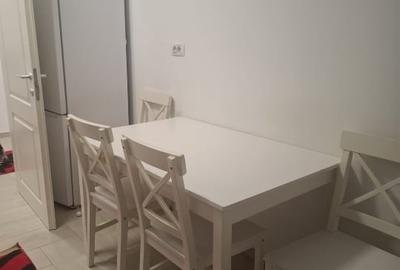 Apartament cu 2 camere decomandat, mobilat în Tătărași - 13