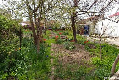 Casa 3 camere - zona Km.5 - 210.000 euro (Cod E11) - 5