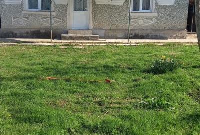 Casă individuală cu 3 camere cu Teren 4800 Mp în Roești - 1