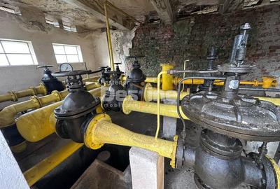 Spațiu industrial, de 19,000 mp, în Pucioasa - 1