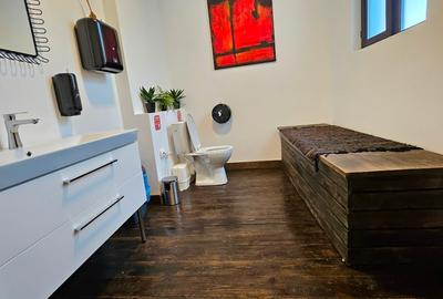 Proprietar-Închiriere vilă reprezentativă – Popa Tatu 18 -Pret negociabil - 15