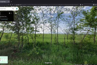 Teren de 7200 mp, în Aroneanu - 1