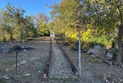 Casă cu 3 camere în Peștișu Mare - 8