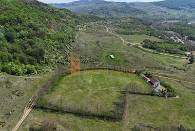 Teren agricol intravilan de 10153 mp, în Cislău