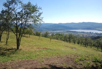 Teren livadă cu panoramă superbă Dealul Malului pentru casă sau cabană - 32