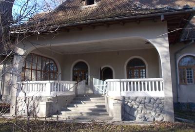 Proprietate deosebita. Potential atractie turistica - Conac Ilovat, MH - 1