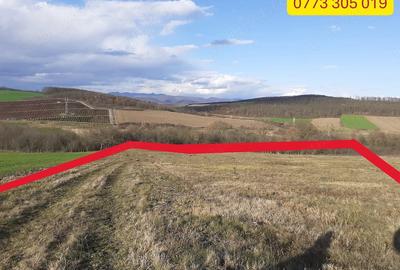 Teren de 20790 mp, în Jeledinți - 10