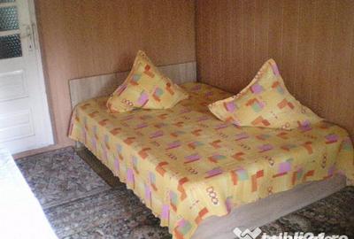 Casă cu 7 camere cu Teren 400 Mp în Greșu - 13