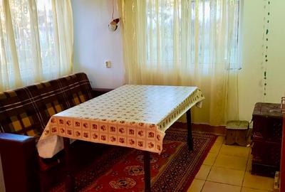 Casa si teren de vanzare (6000 mp) - 4